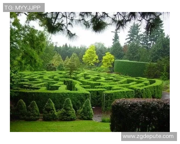 足球明星与象棋的奇妙结合展现运动与智慧的完美交融 足球明星与象棋的奇妙结合展现运动与智慧的完美交融